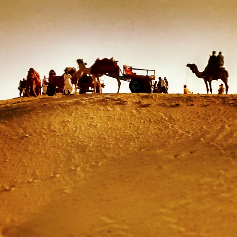 Camel Caravan on Dunes